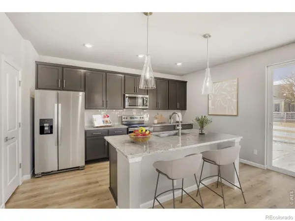 648 Noola ST, Windsor, CO 80550