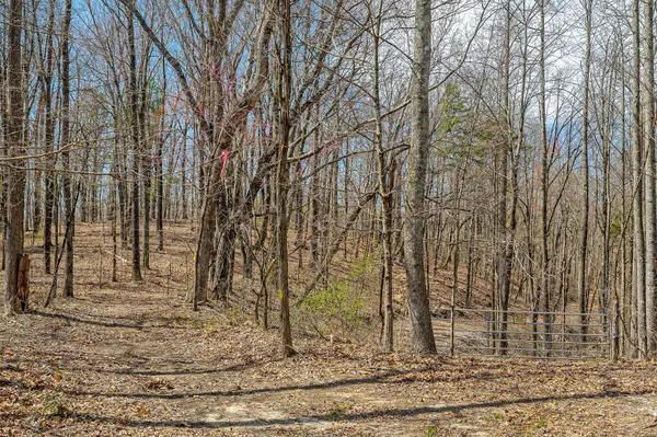 0 White Oak Flatt Rd, Sparta, TN 38583