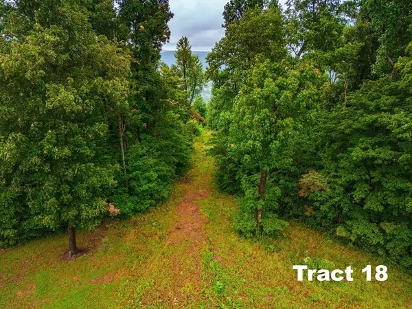 0 Bear Knob Ln, Crawford, TN 38554