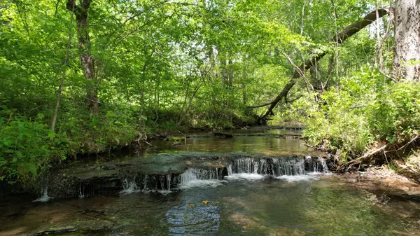 3795 Wayland Springs Rd, Iron City, TN 38463