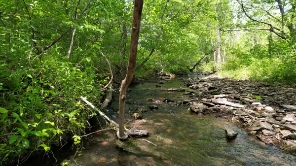 3795 Wayland Springs Rd, Iron City, TN 38463
