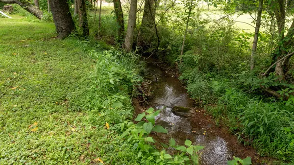 4648 31 Hwy #W, Cottontown, TN 37048