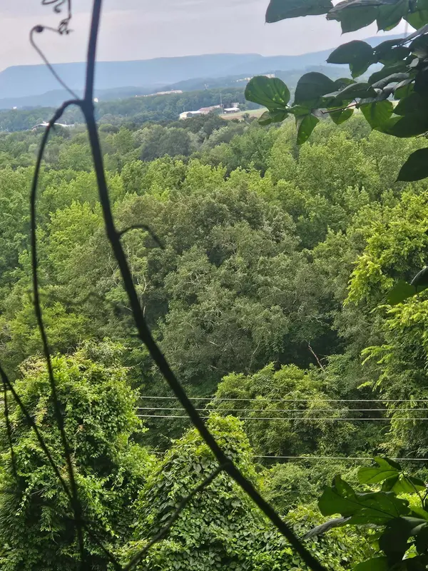 0 Old Jasper Road, South Pittsburg, TN 37380