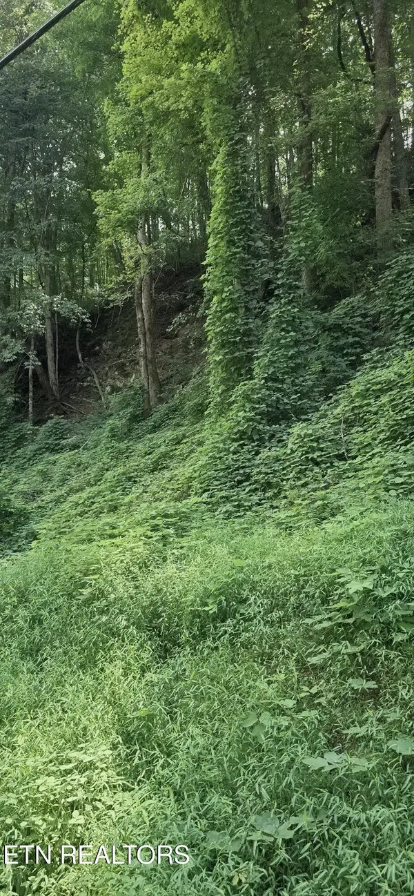 39 Black Walnut Flats Rd, Sevierville, TN 37862