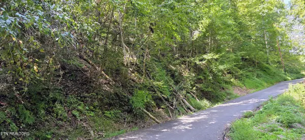 5 Sugar Maple Loop Rd, Sevierville, TN 37862