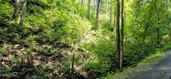 15 Emerald Springs Loop, Sevierville, TN 37862