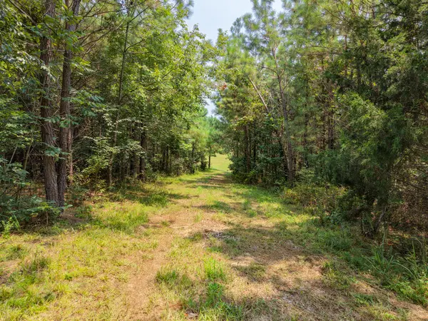 0 Petway Rd, Ashland City, TN 37015