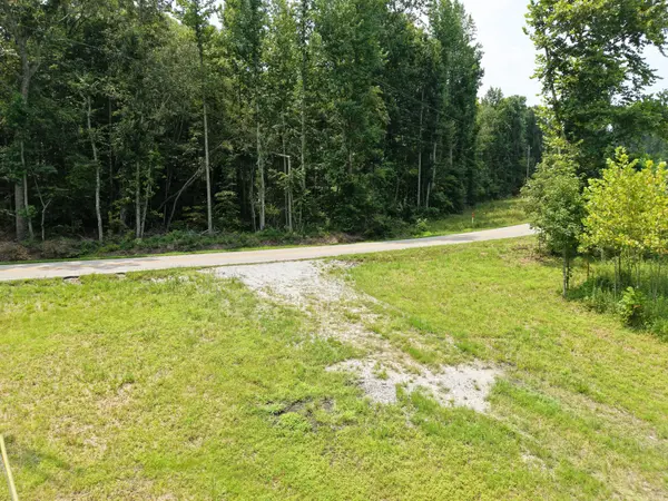0 Birdsong Rd, Holladay, TN 38341