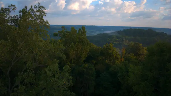 0 Pigg Schoolhouse Rd, Santa Fe, TN 38482