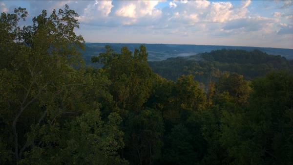 0 Pigg Schoolhouse Rd, Santa Fe, TN 38482