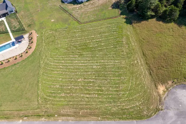 0 Meadowview Ln, Smithville, TN 37166