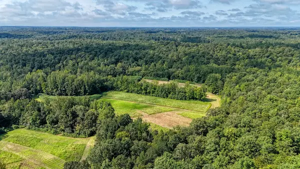 5650 Sulphur Creek Rd, Big Sandy, TN 38221