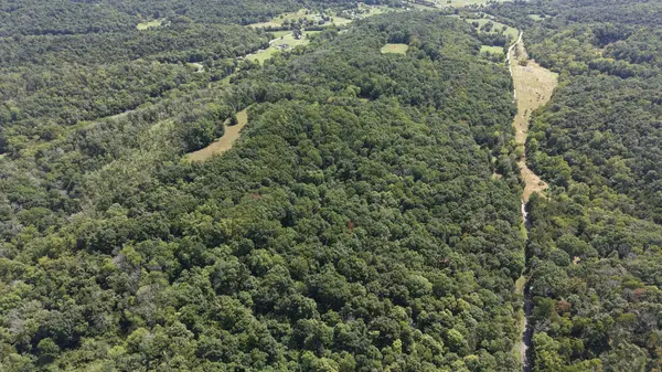 173 Madden Private Ln, Bethpage, TN 37022