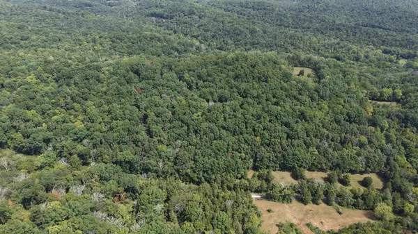 661 Red Tuttle Rd, Bethpage, TN 37022