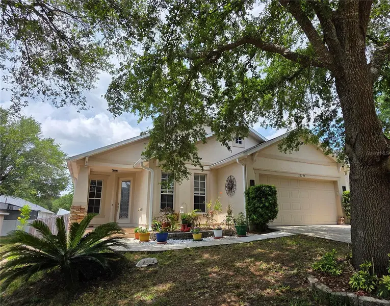 25147 IRONWEDGE DR, Sorrento, FL 32776