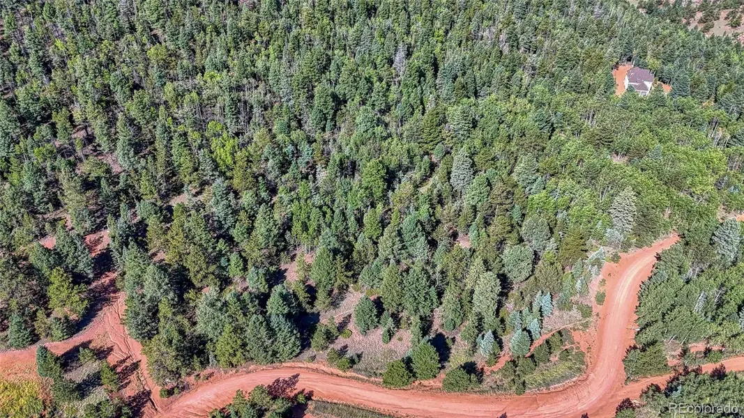 1232 Monarch DR, Cripple Creek, CO 80813