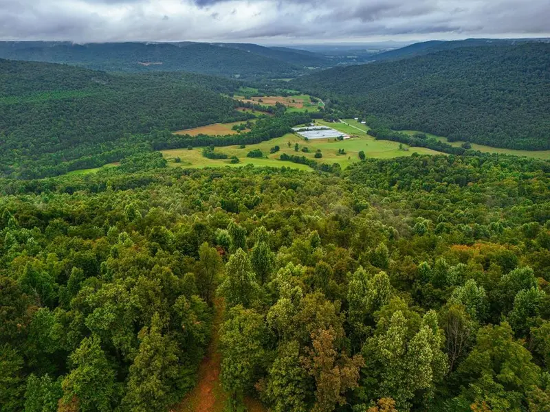 0 Bear Knob Ln, Crawford, TN 38554