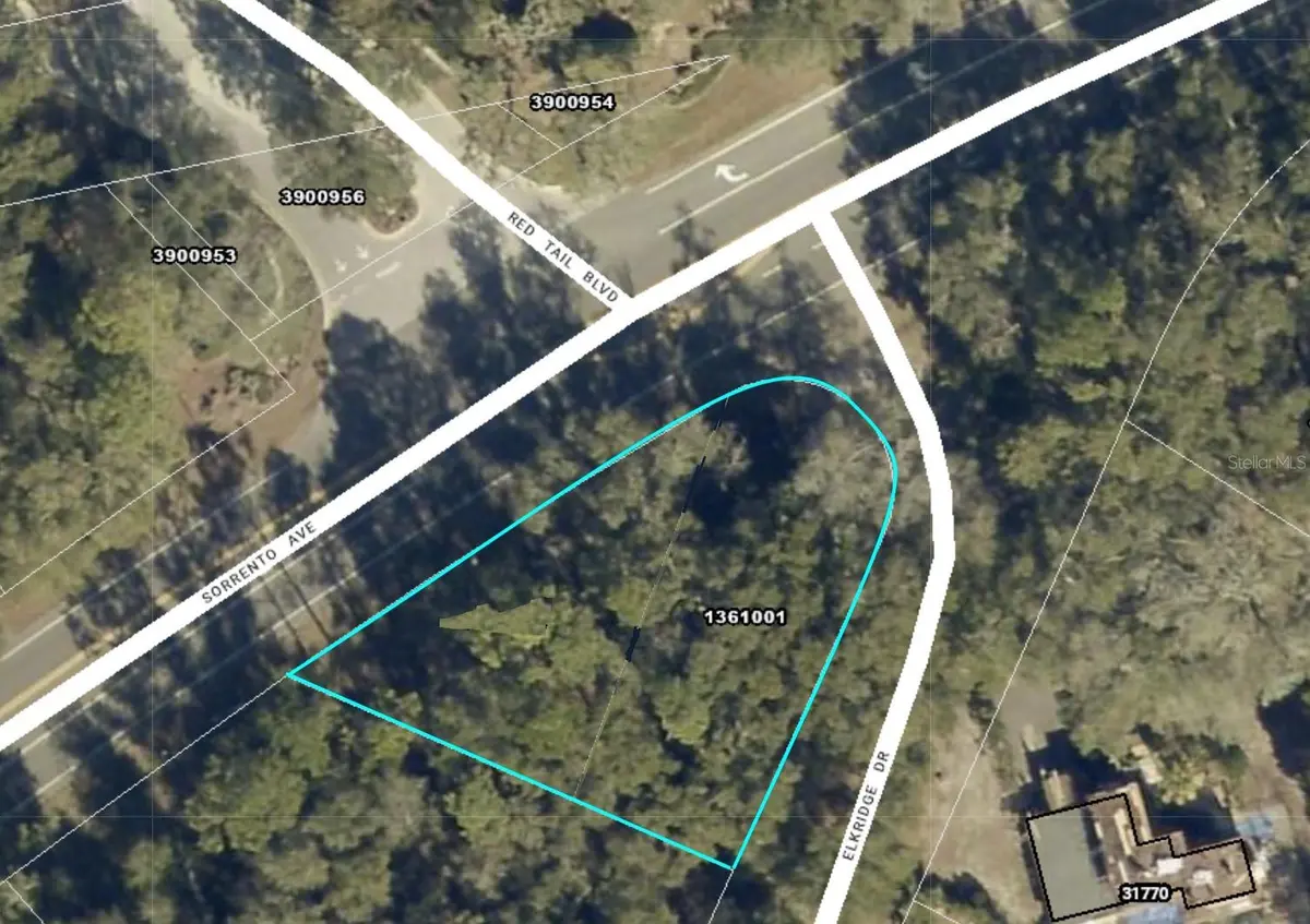 25950 SORRENTO AVE, Mount Plymouth, FL 32776