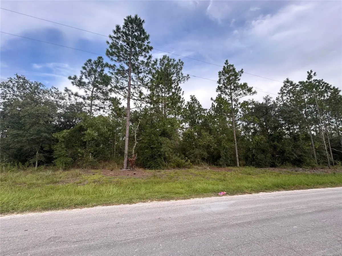 TBD NE 150TH AVE, Williston, FL 32696
