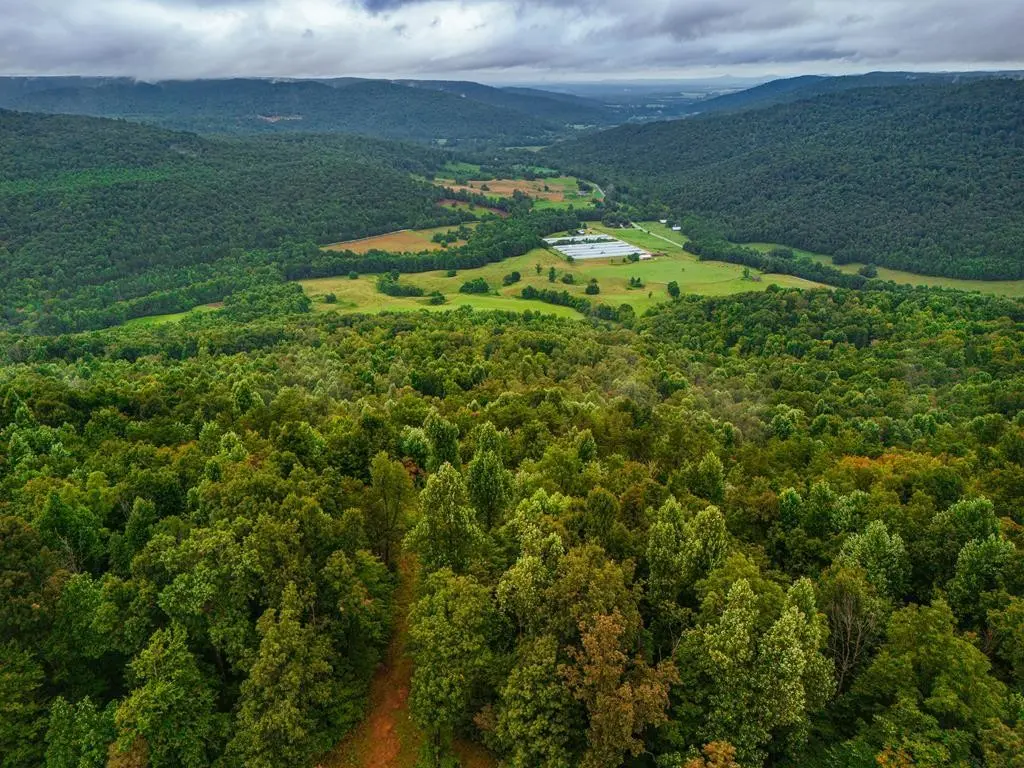 0 Bear Knob Ln, Crawford, TN 38554