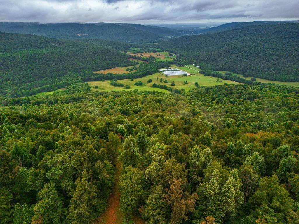 0 Bear Knob Ln, Crawford, TN 38554