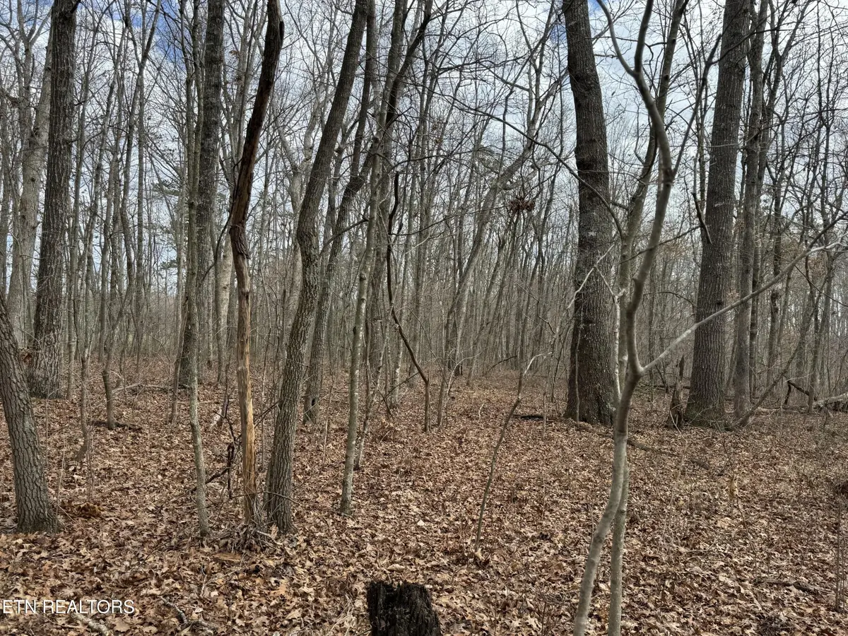 1261 Roanoke Rd, Jamestown, TN 38556