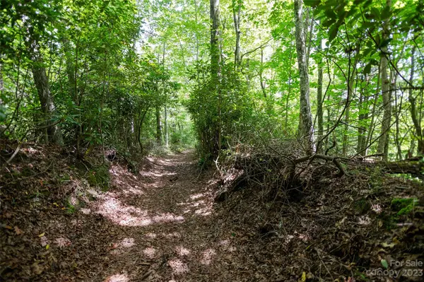 TBD Nancy Mountain RD, Rosman, NC 28772