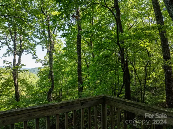 Lot 25 Panther Mountain RD #CVN-CVN-025, Zirconia, NC 28790
