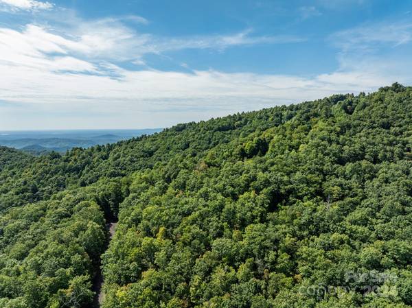 Lot 25 Panther Mountain RD #CVN-CVN-025, Zirconia, NC 28790