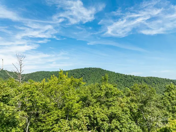 Lot 25 Panther Mountain RD #CVN-CVN-025, Zirconia, NC 28790