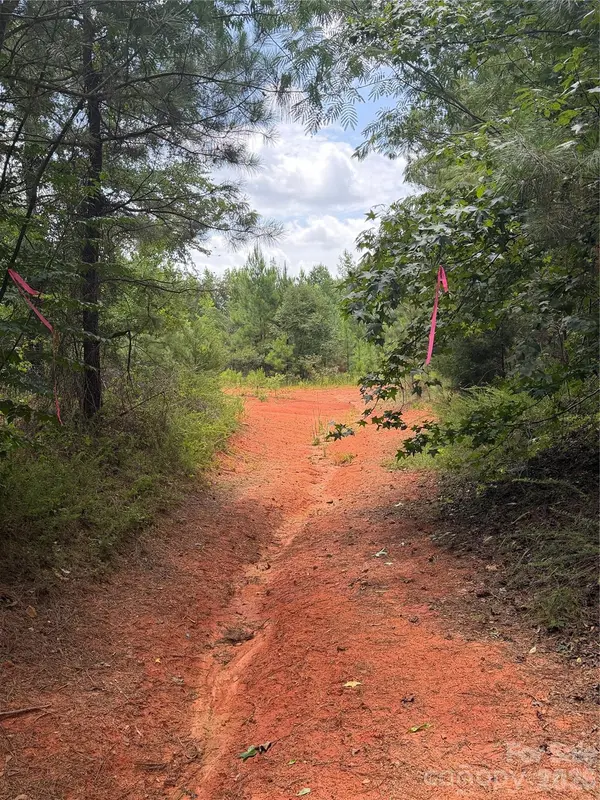 TBD Sam Walker RD, Catawba, SC 29704