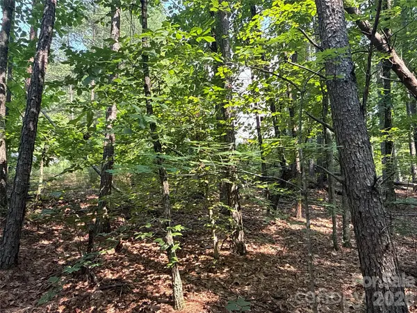 242 Golden Creek RDG, Union Mills, NC 28167