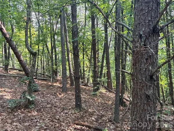 242 Golden Creek RDG, Union Mills, NC 28167