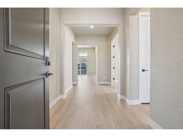 631 White Dove, Monument, CO 80132