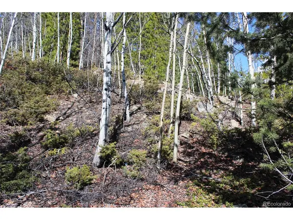 0 Spruce, Central City, CO 80427