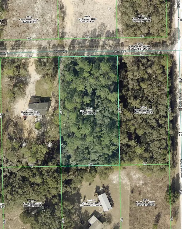 33104 FACULTY ST, Webster, FL 33597