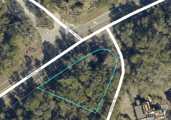 25950 SORRENTO AVE, Mount Plymouth, FL 32776
