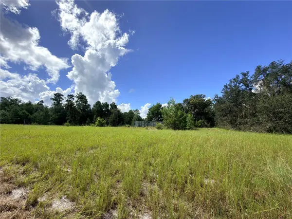 41938 PINE VALLEY DR, Paisley, FL 32767