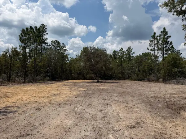 TBD NE 101ST TER, Archer, FL 32618
