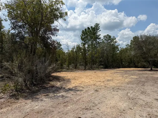 TBD NE 101ST TER, Archer, FL 32618