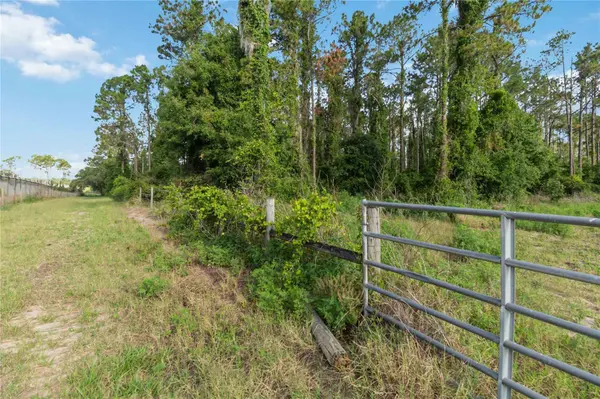 23175 N BUCKHILL RD, Howey In The Hills, FL 34737
