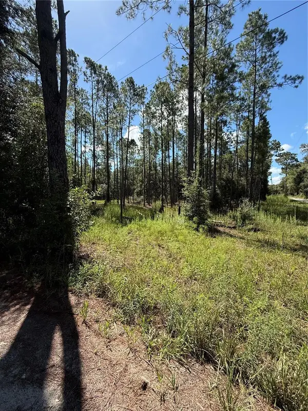 0 SW 158 LN, Dunnellon, FL 34432
