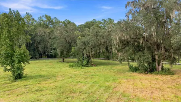 18601 NW 160TH AVE, Williston, FL 32696