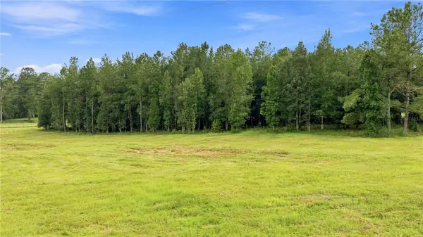18601 NW 160TH AVE, Williston, FL 32696