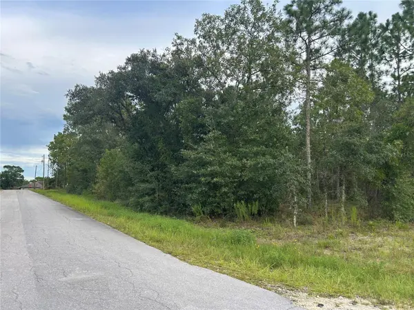 TBD NE 150TH AVE, Williston, FL 32696