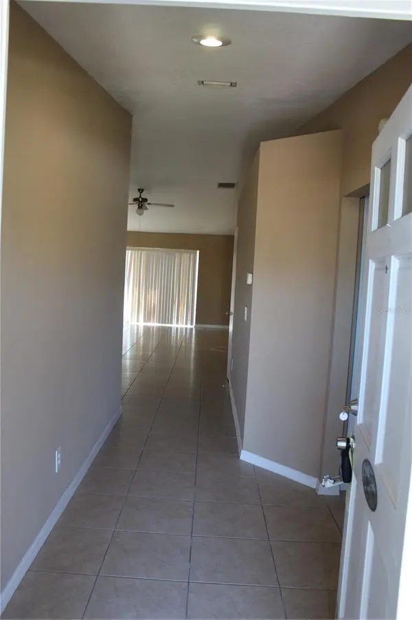 11111 BRAMBLEBRUSH ST, Tampa, FL 33624
