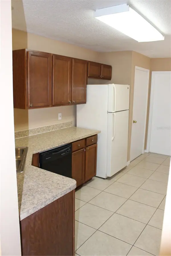 11111 BRAMBLEBRUSH ST, Tampa, FL 33624