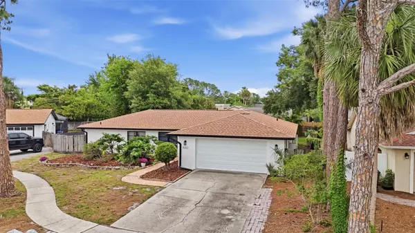 8307 VALLEJO PL, Tampa, FL 33614