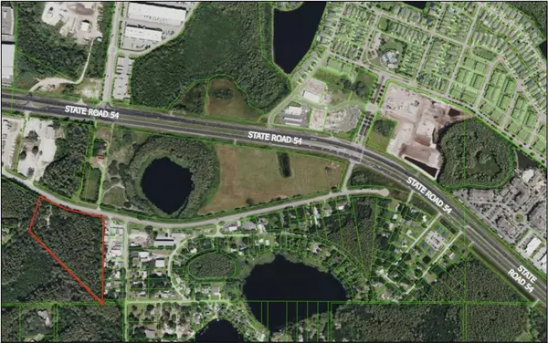 14356 BLACK LAKE RD, Odessa, FL 33556