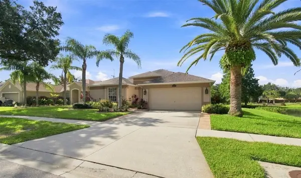 10113 CANNON DR, Riverview, FL 33578